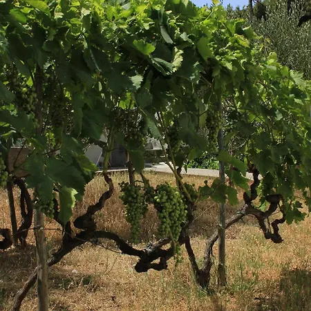 By The Sea Tkon, Pasman - 8297 Apartment